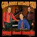 Audio CD Cover: Dang Good Boogie von Carl Sonny Leyland