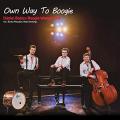 Audio CD Cover: Own Way To Boogie von Daniel Balazs